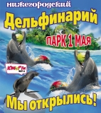 Едем в Дельфинарий Нижнего Новгорода