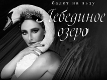 С 06 ПО 08 ЯНВАРЯ 2022Г. ПРИГЛАШАЕМ ВАС В "МЕГАСПОРТ" НА ЛЕДОВОЕ ШОУ ТАТЬЯНЫ НАВКИ "ЛЕБЕДИНОЕ ОЗЕРО"